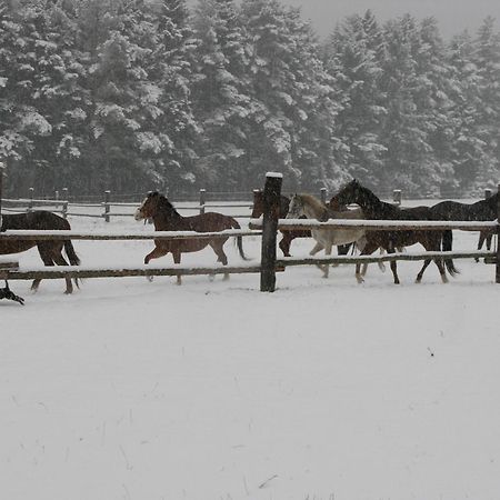 Penzion-Ranc U Trapera Hrabusice Bagian luar foto