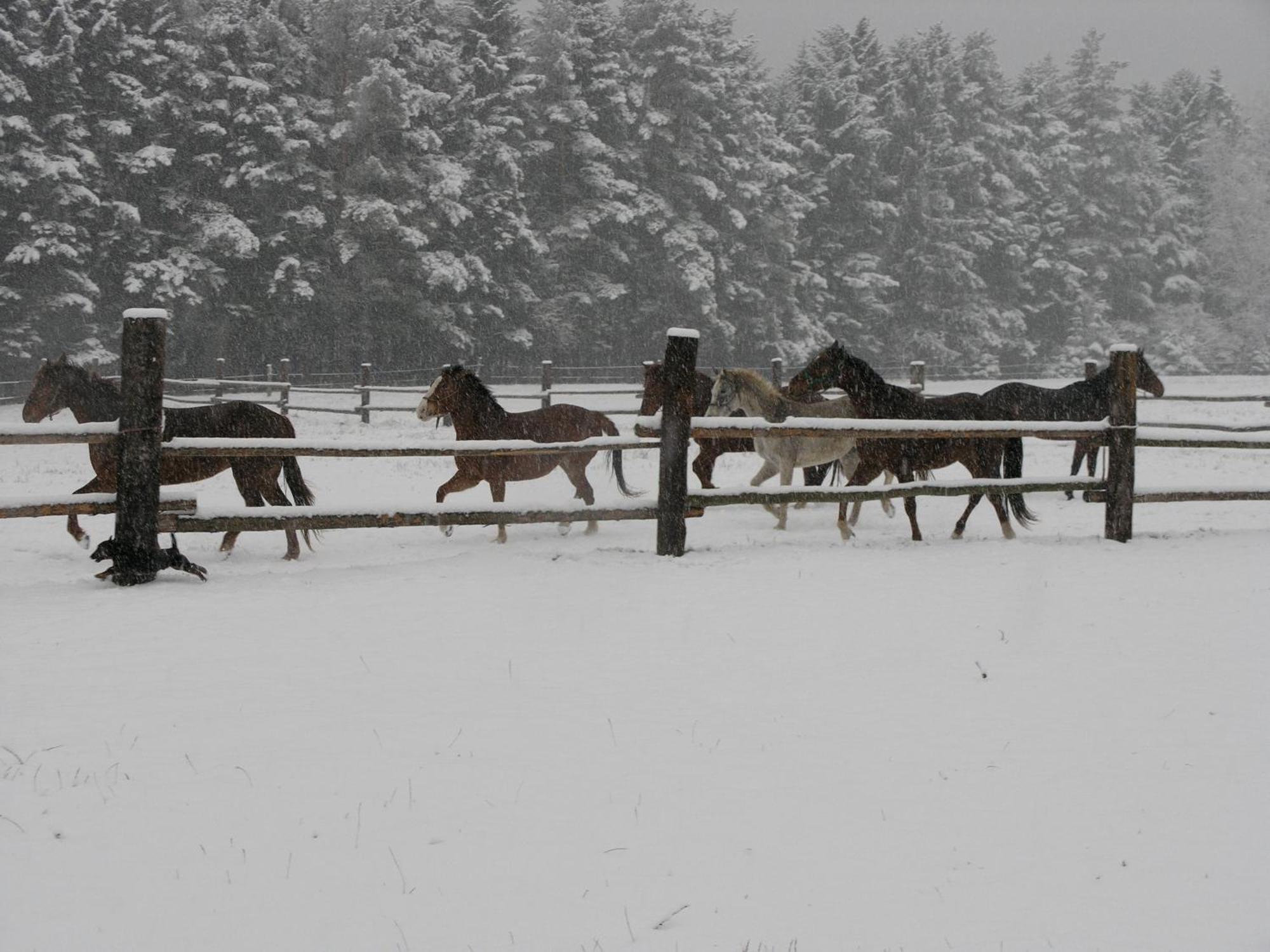 Penzion-Ranc U Trapera Hrabusice Bagian luar foto